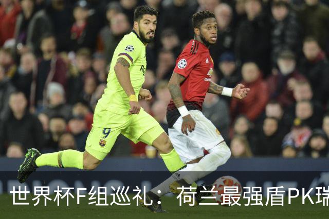世界杯F组巡礼：荷兰最强盾PK瑞典犀利刀 日本短板明显